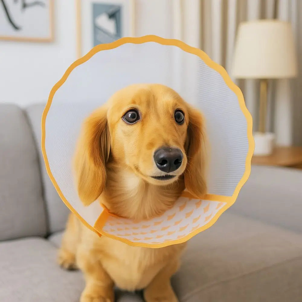 Adjustable Pet Recovery Collar Anti-Lick Anti-Scratching Dog Anti-Bite Collar Breathable Anti-Chew Cat Elizabethan Collar