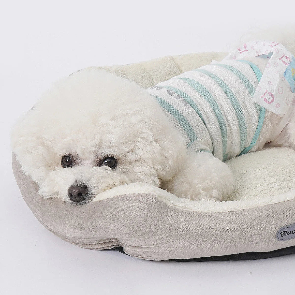 Dog Kennel Is Preferred in Four Seasons Good Air Permeability Durable Wear Resistance Strong Durability and Anti-bite