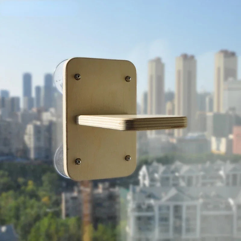 Cat House Climbing Tower Cat Trees & Towers Wall Climbing Set Playground for Cats Training Supplies Accessories Pet Products