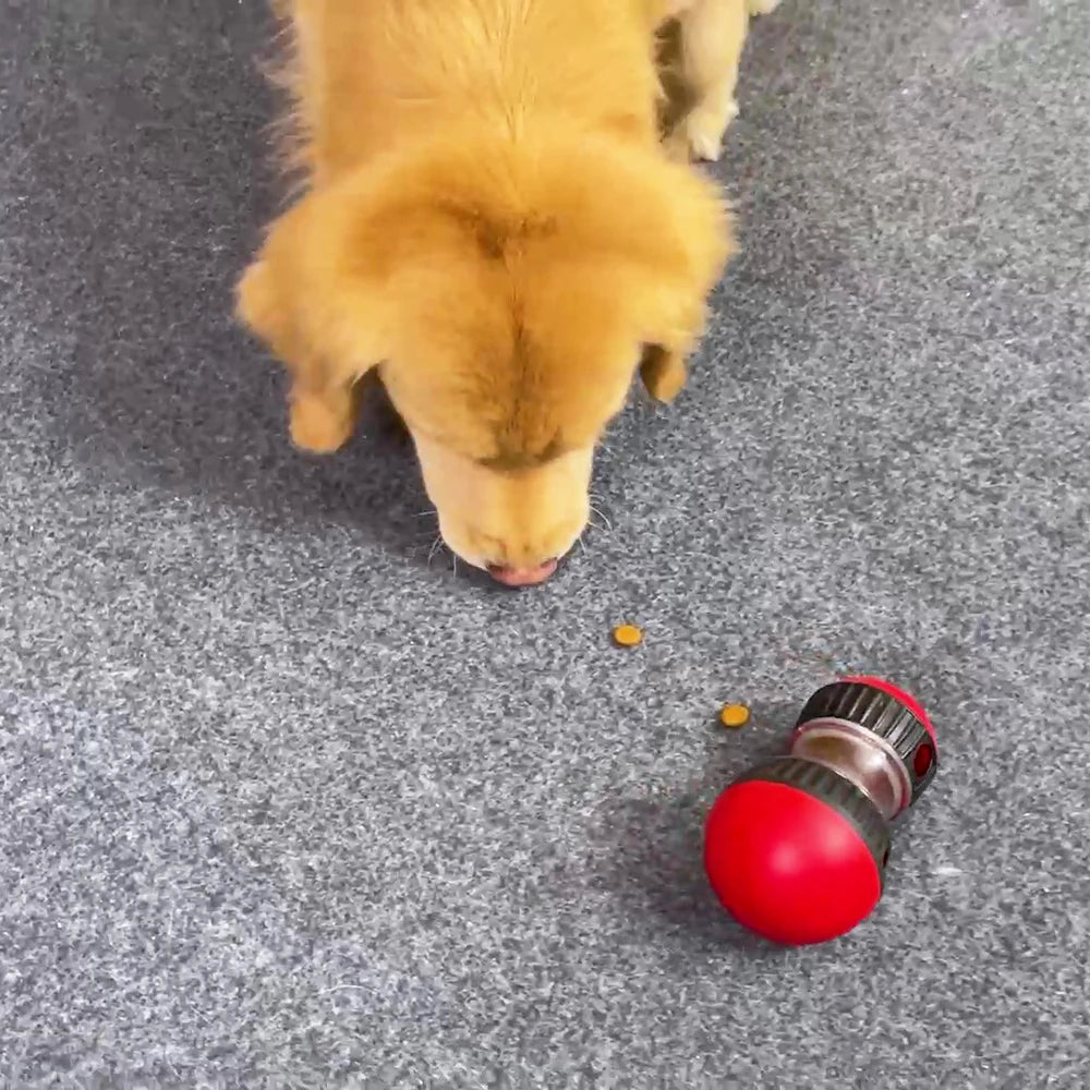 Pallina per lenta distribuzione dei croccantini - Giocattolo ideale per Cani e Gatti per intelligenza e addestramento