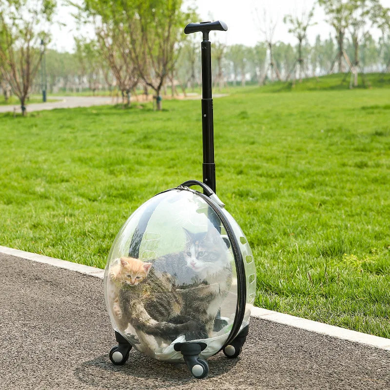 Pet Transparent Trolley Case Cat Dog Travel Convenient Portable Large Capacity Cart Ventilate Pet Carriers Supplies Accessories