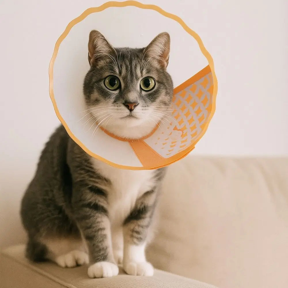 Adjustable Pet Recovery Collar Anti-Lick Anti-Scratching Dog Anti-Bite Collar Breathable Anti-Chew Cat Elizabethan Collar