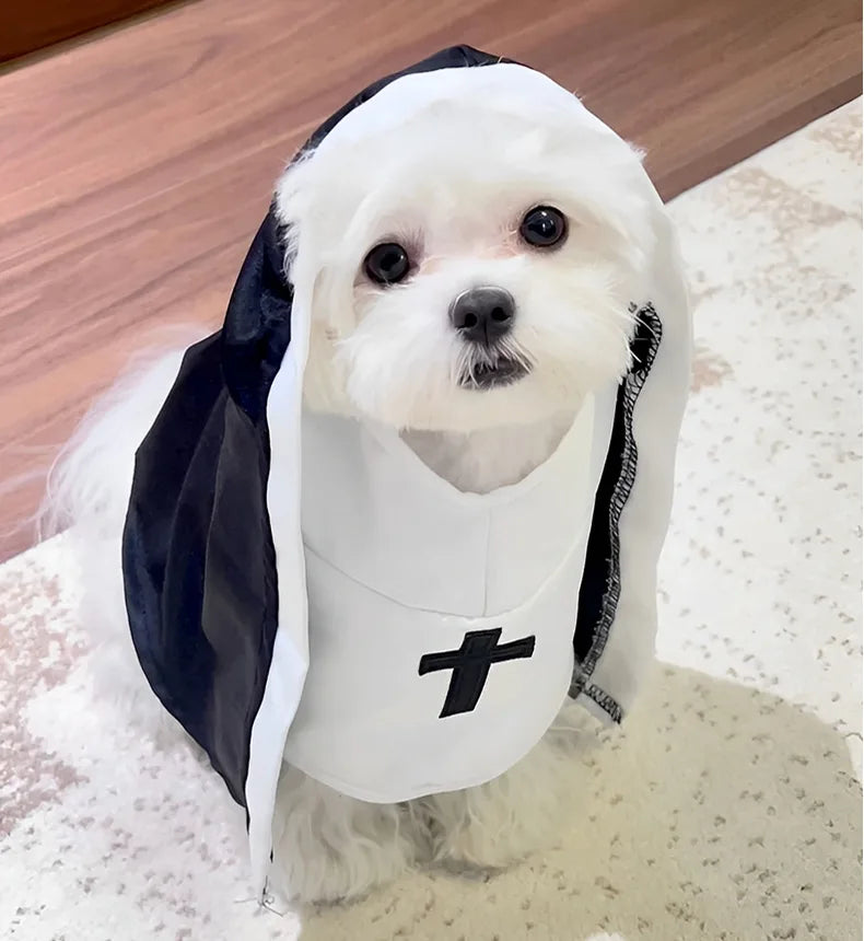 Costume da Suora per gatto o cane di piccola taglia, divertente travestimento per halloween o carnevale