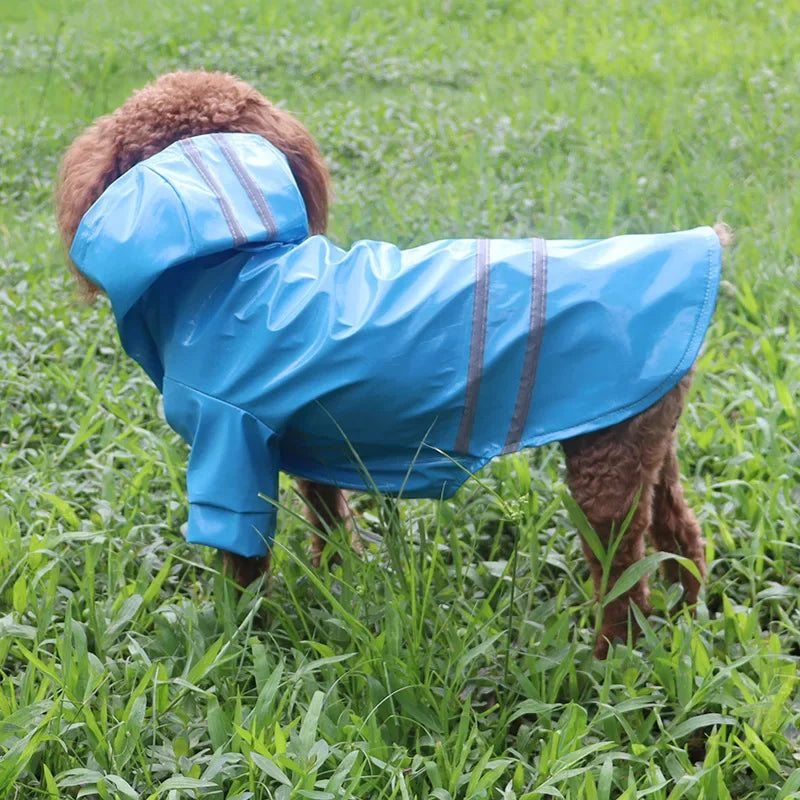 Giacca Impermeabile per piccoli cani con Cappuccio e Striscia Riflettente, Abbigliamento Traspirante da Esterno per Cuccioli