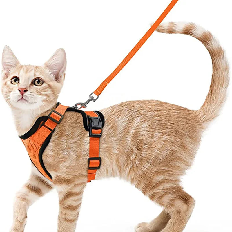 Pettorina e guinzaglio da passeggio per gatti e piccoli cani, morbida, regolabile e anti-fuga