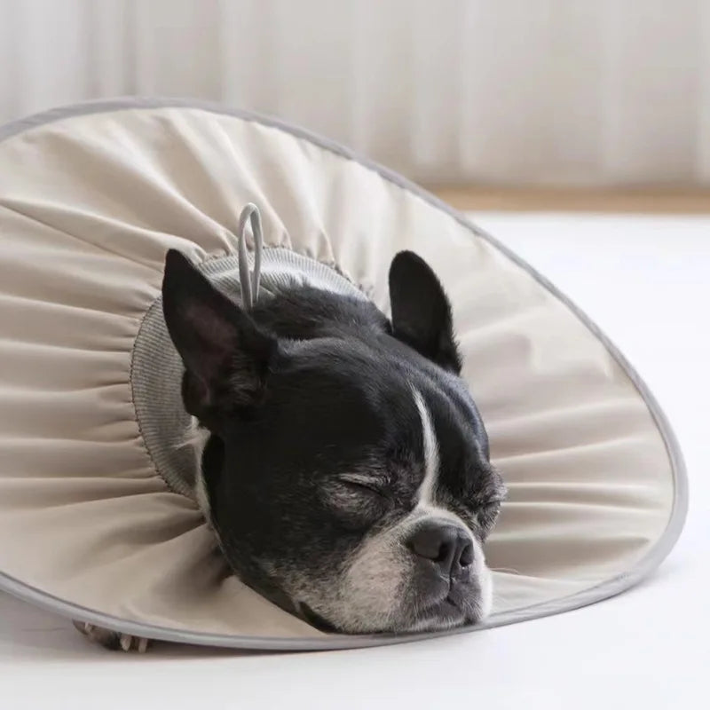 Pet Elizabeth Collar Sterilization Care Collar Cat and Dog Grooming Collar Anti-Licking and Biting Small Size Dogs Headgear