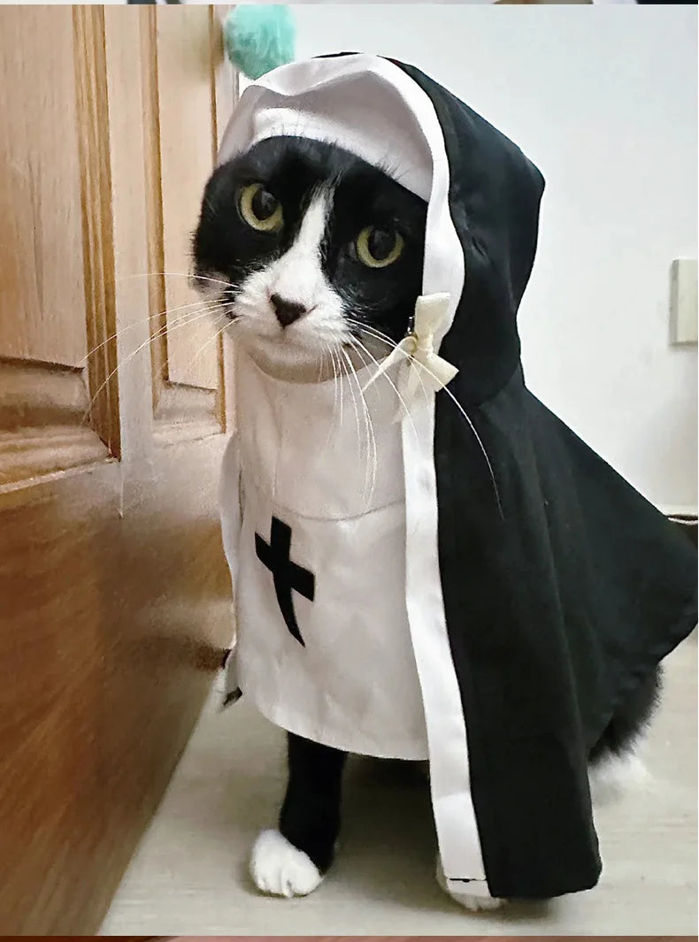Costume da Suora per gatto o cane di piccola taglia, divertente travestimento per halloween o carnevale