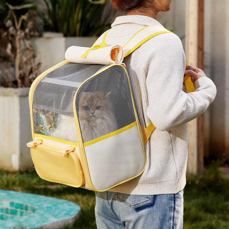 O1CN01PJVhq22DKjcut2TUF_!!1600688591