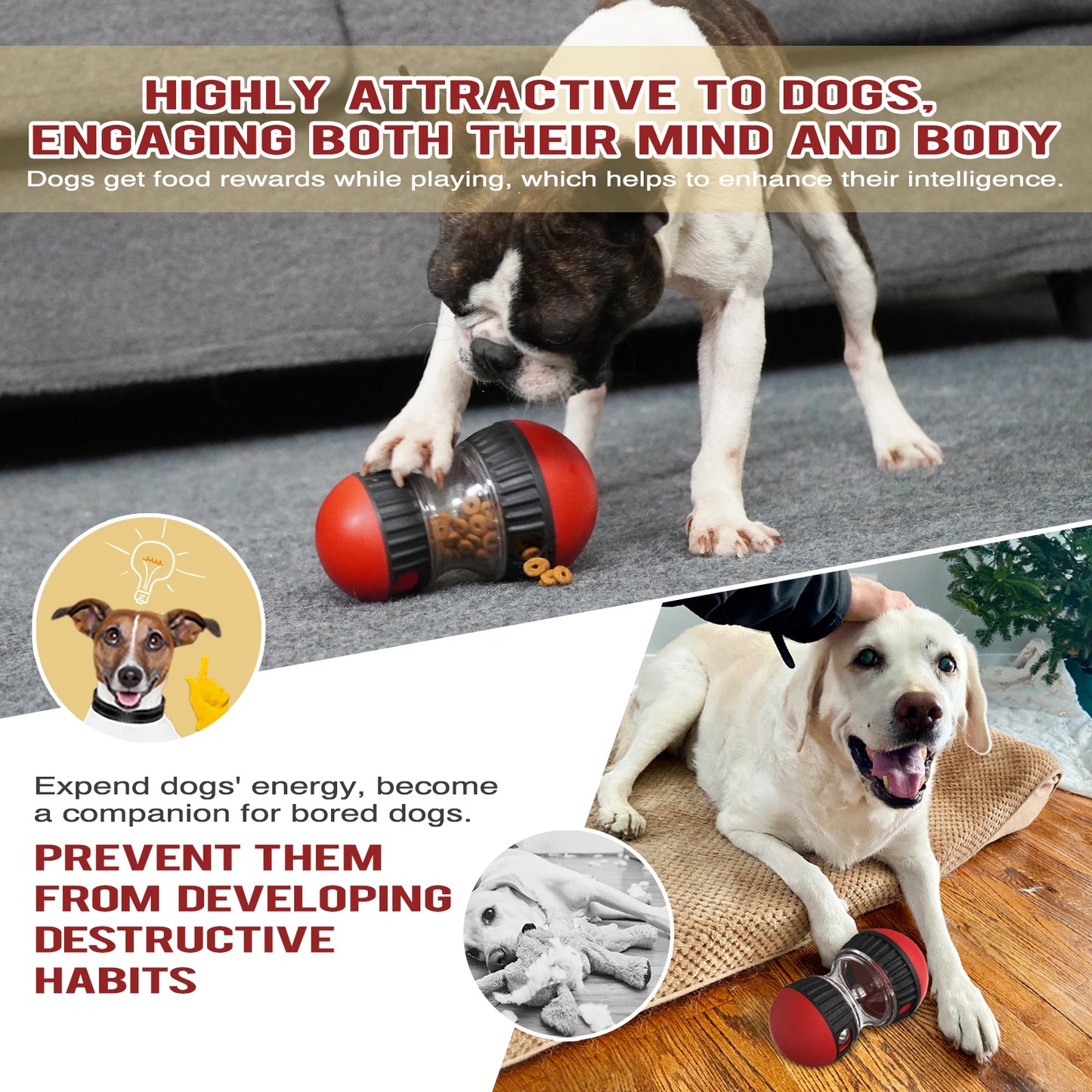 Pallina per lenta distribuzione dei croccantini - Giocattolo ideale per Cani e Gatti per intelligenza e addestramento