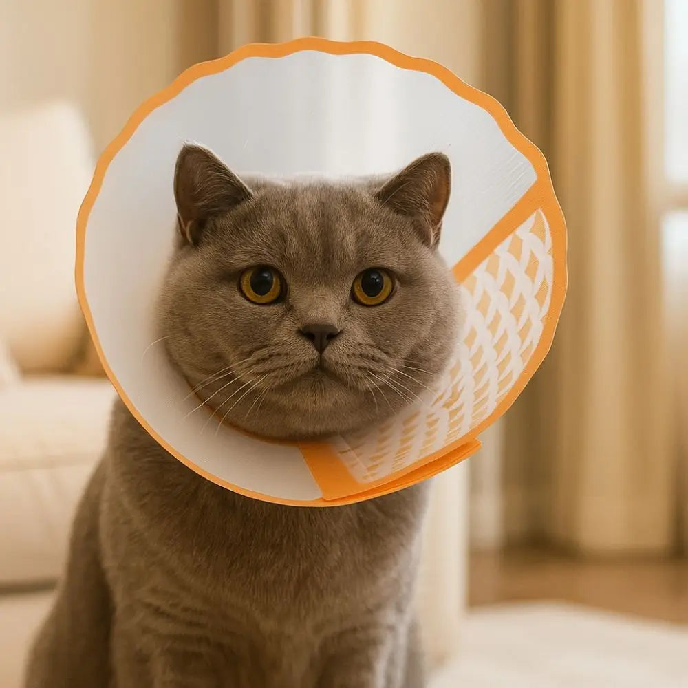 Adjustable Pet Recovery Collar Anti-Lick Anti-Scratching Dog Anti-Bite Collar Breathable Anti-Chew Cat Elizabethan Collar