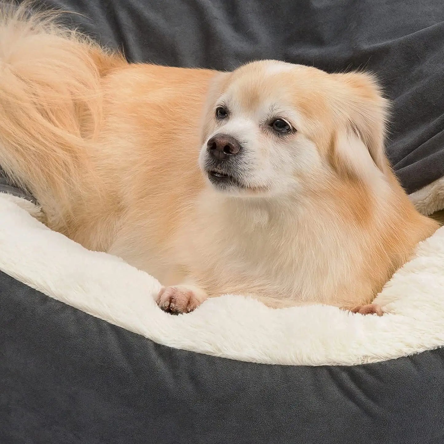 Kennel cat litter pet litter teddy small medium dog cushion blanket pet supplies dog bed pets dog kennel