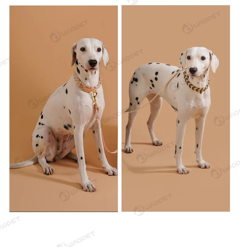Dog Fashion Collar For Ladies Handmade Design Pet Colorful Neck Ring Small Medium and Large Dogs Lead-collar Wear Supplies