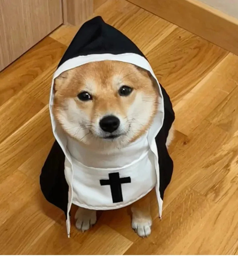 Costume da Suora per gatto o cane di piccola taglia, divertente travestimento per halloween o carnevale