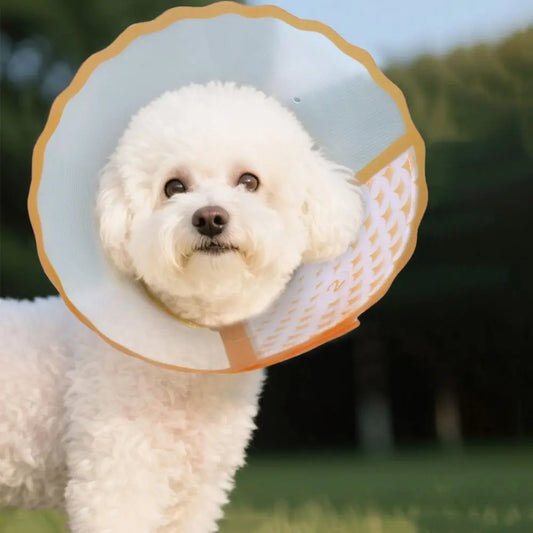 Adjustable Pet Recovery Collar Anti-Lick Anti-Scratching Dog Anti-Bite Collar Breathable Anti-Chew Cat Elizabethan Collar