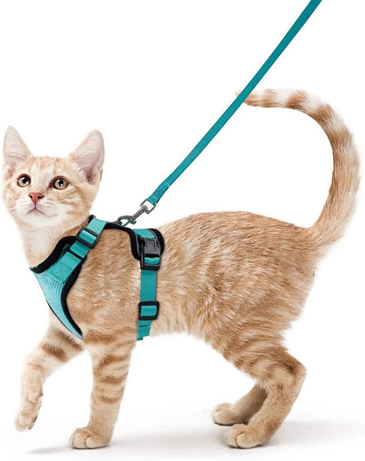 Pettorina e guinzaglio da passeggio per gatti e piccoli cani, morbida, regolabile e anti-fuga
