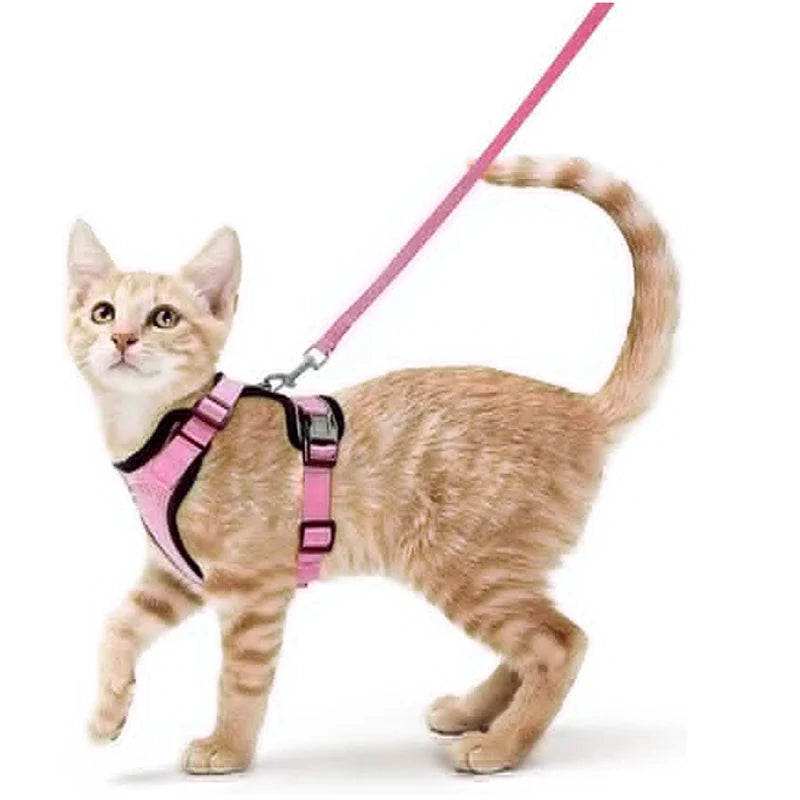 Pettorina e guinzaglio da passeggio per gatti e piccoli cani, morbida, regolabile e anti-fuga