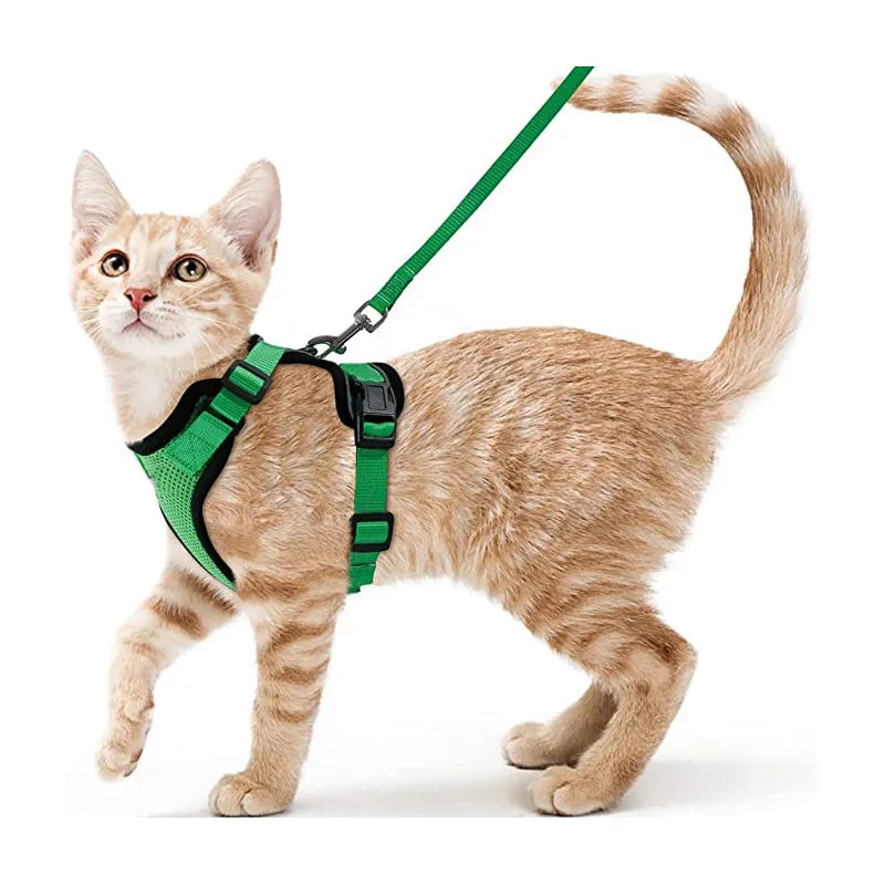 Pettorina e guinzaglio da passeggio per gatti e piccoli cani, morbida, regolabile e anti-fuga