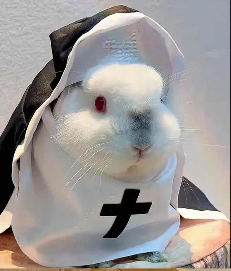 Costume da Suora per gatto o cane di piccola taglia, divertente travestimento per halloween o carnevale