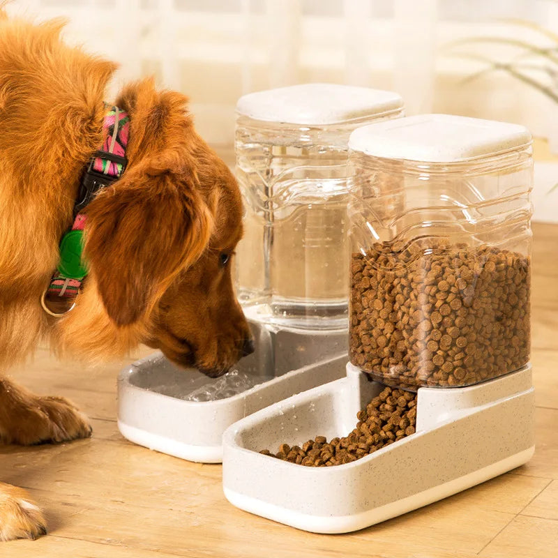Distributore di cibo e acqua 2 in 1, per gatti e cani