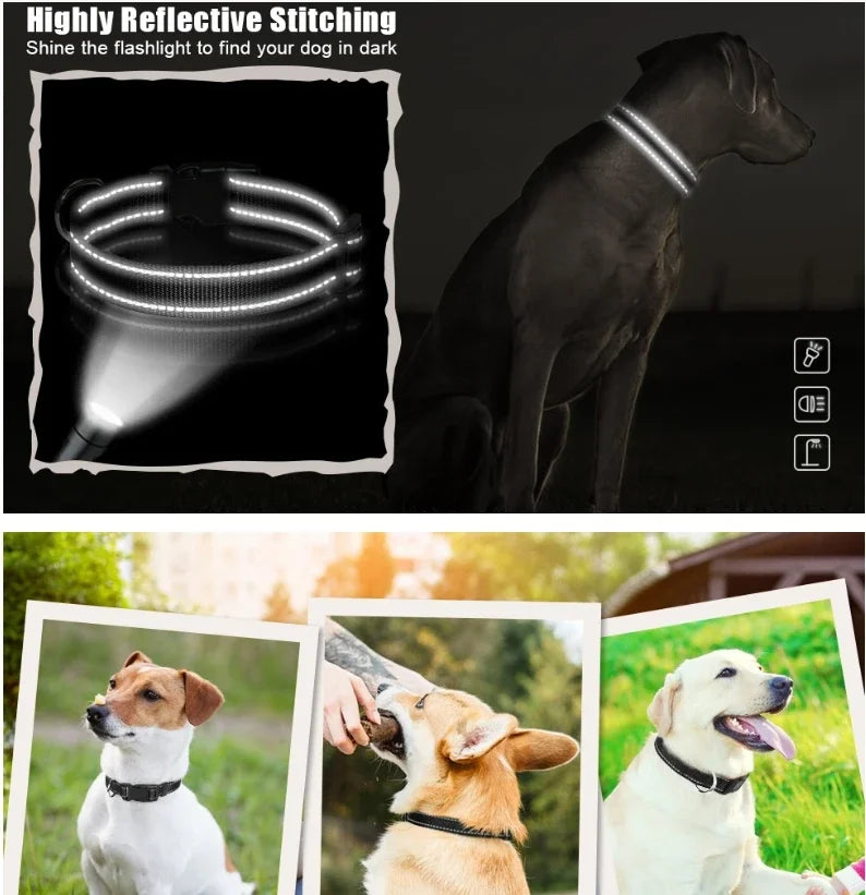 Dog Collar Reflective Adjustable Breathable Nylon Soft Padded DurableePet Collar for Small Medium Large Dog Bone Rope