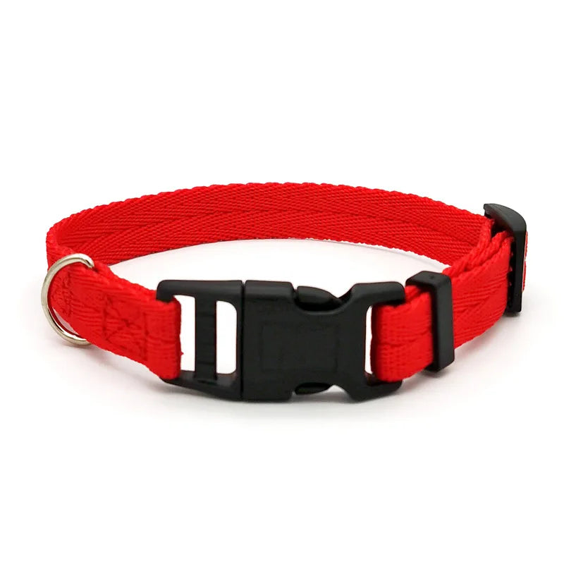 Pet Dog Collar Solid Color Puppy Collars Medium Dogs Quickly Disengaged Pet Dog Training Collar Teddy Bichon Small Dog Collar