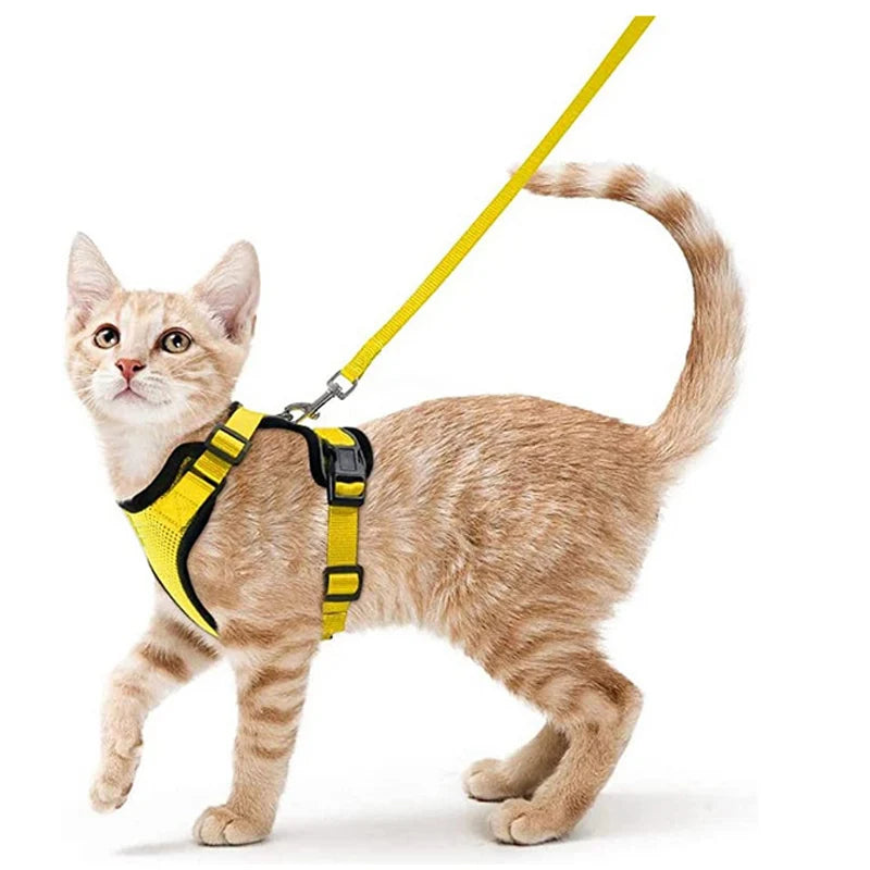 Pettorina e guinzaglio da passeggio per gatti e piccoli cani, morbida, regolabile e anti-fuga