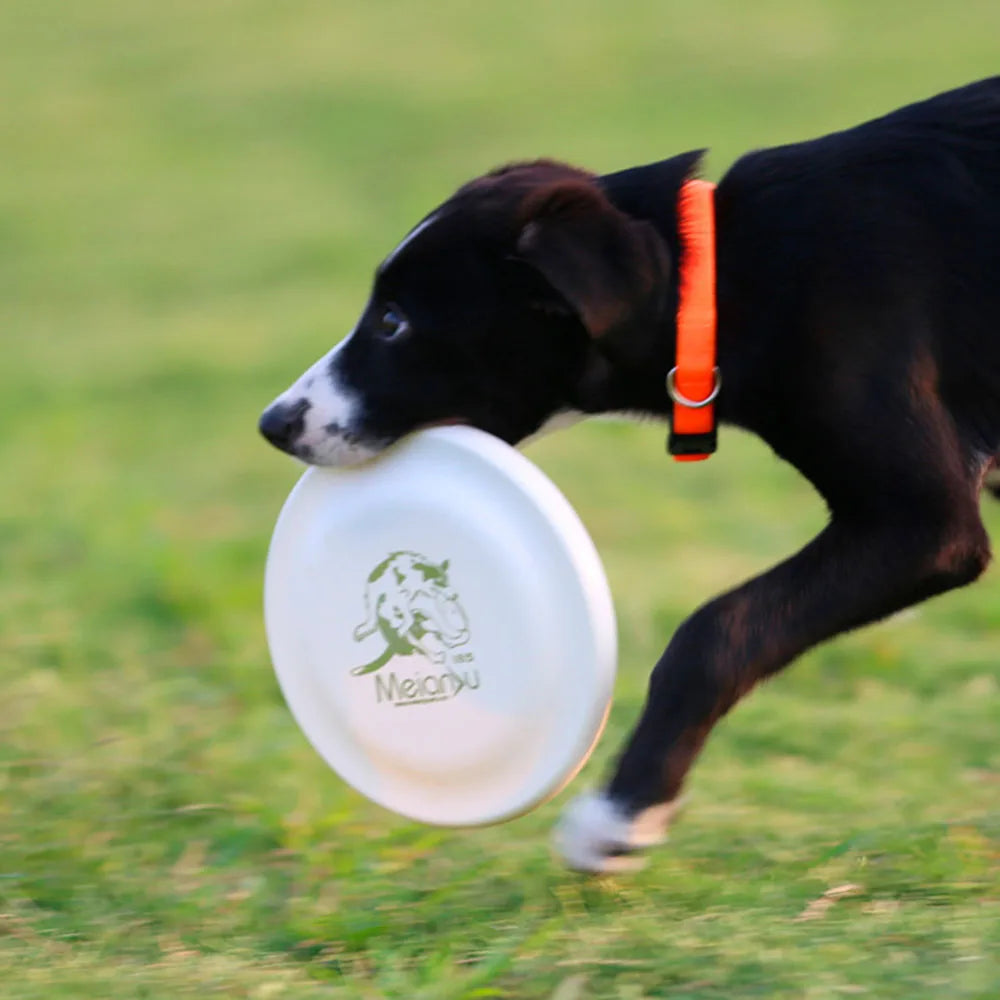 Dog Training Disc - Durable Pet  for Puppy & Adult Dog Training, Lightweight Easy-Catch Dog Training Toy, Essential Pet Supplies